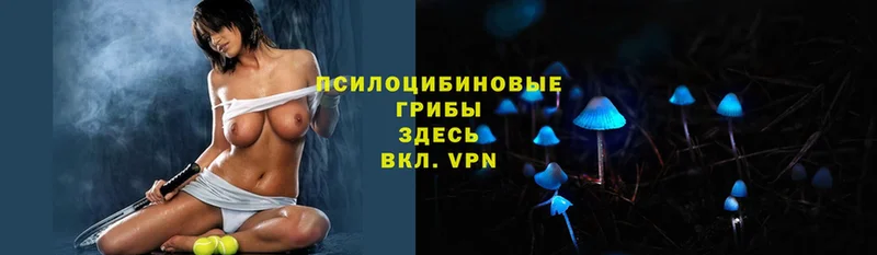 Галлюциногенные грибы MAGIC MUSHROOMS  где купить   Верхний Уфалей 